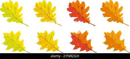 Herbsteichenblätter gelb rot und orange Stock Vektor