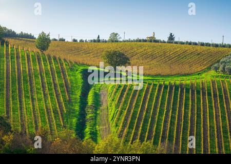 Chianti Weinberge Landschaft im Herbst, Bäume und eine Kirche. San Casciano Val di Pesa, Provinz Florenz, Region Toskana, Italien, Europa. Stockfoto