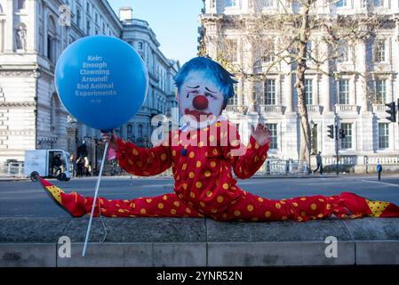 London, Großbritannien. November 2024. Ein Boris Johnson maskierter Aktivist macht eine Spaltung draußen in der Downing Street in London. PETA-Aktivisten (People for the Ethical Treatment for Animals) sind als Clowns gekleidet und trugen die letzten sieben britischen Premierminister-Masken (Gordon Brown, David Cameron, Theresa May, Boris Johnson, Elizabeth Truss, Rishi Sunak und Tony Blair). Aktivisten rufen Keir Starmer und die Labour-Regierung auf, ihr Wahlversprechen zu erfüllen, die Tierversuche zu reduzieren oder gar zu stoppen. Quelle: SOPA Images Limited/Alamy Live News Stockfoto