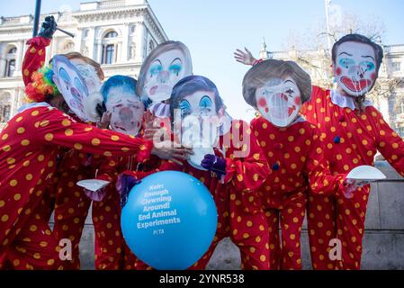 London, Großbritannien. November 2024. Masken der Aktivisten, bedeckt mit Schlagsahne, draußen in der Downing Street in London. PETA-Aktivisten (People for the Ethical Treatment for Animals) sind als Clowns gekleidet und trugen die letzten sieben britischen Premierminister-Masken (Gordon Brown, David Cameron, Theresa May, Boris Johnson, Elizabeth Truss, Rishi Sunak und Tony Blair). Aktivisten rufen Keir Starmer und die Labour-Regierung auf, ihr Wahlversprechen zu erfüllen, die Tierversuche zu reduzieren oder gar zu stoppen. Quelle: SOPA Images Limited/Alamy Live News Stockfoto