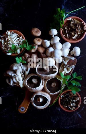 Auswahl an Pilzen, darunter frischer portobello, Shiitake, weiße Tasse und Austern, getrocknete Stachelporcini, geschnittene Shiitake und gemischte Waldpilze. Stockfoto