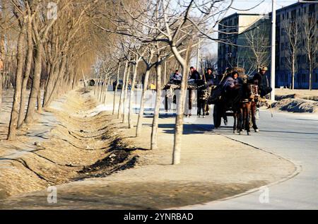 Street View in Peking (Peking), China mit Pferdekutschen, Februar 1972 Stockfoto