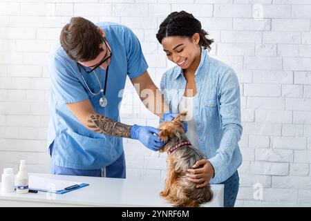 Glückliche Frau mit Yorkshire Terrier auf Besuch beim Tierarzt in der Arztpraxis Stockfoto