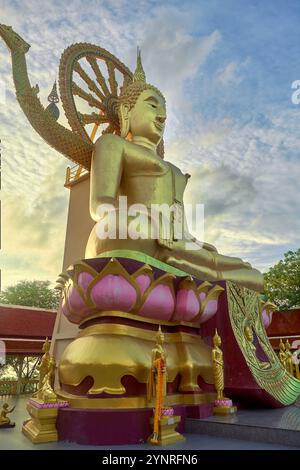 Goldene Buddha-Statue im Wat Phra Yai in Koh Samui, Thailand Stockfoto