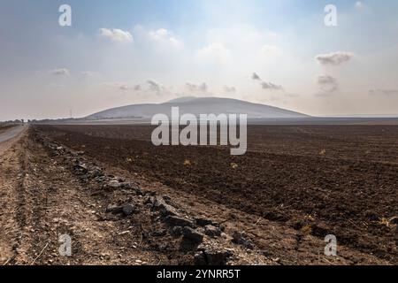 Schlacht von Gaugamela, Schlacht von Arbela, Schlachtfeld, Alexander der große, persischer König Darius III., Kurdistan, Ninive, Irak, Naher Osten, Asien Stockfoto