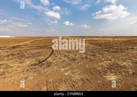 Schlacht von Gaugamela, Schlacht von Arbela, Schlachtfeld, Alexander der große, persischer König Darius III., Kurdistan, Ninive, Irak, Naher Osten, Asien Stockfoto