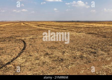 Schlacht von Gaugamela, Schlacht von Arbela, Schlachtfeld, Alexander der große, persischer König Darius III., Kurdistan, Ninive, Irak, Naher Osten, Asien Stockfoto