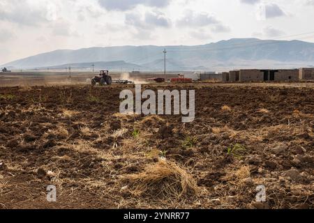 Schlacht von Gaugamela, Schlacht von Arbela, Schlachtfeld, Alexander der große, persischer König Darius III., Kurdistan, Ninive, Irak, Naher Osten, Asien Stockfoto