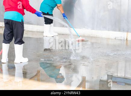 Frau sprüht Wasser und benutzt im Werk den sauberen Boden. Stockfoto