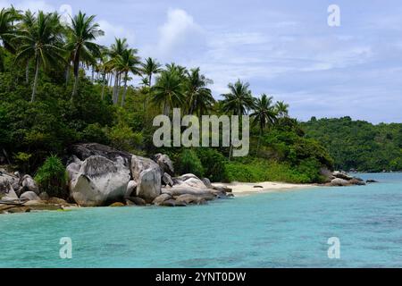 Indonesien Anambas Islands - idyllischer Strand mit Palmen und Felsen auf dem Archipel Stockfoto