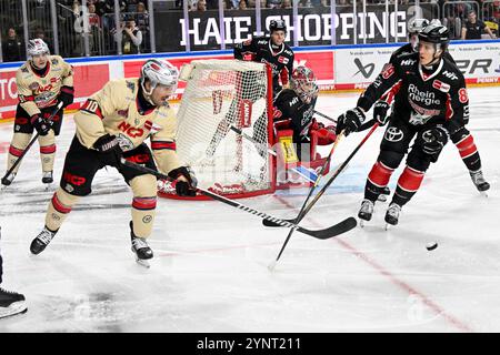 Eishockey DEL - 24/25 - 20. Spieltag: Kölner Haie vs Nürnberg Ice Tigers am 26.11.2024 in der LANXESS Arena in Köln Foto: Osnapix Stockfoto