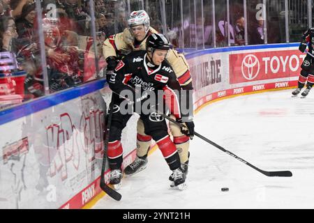 Eishockey DEL - 24/25 - 20. Spieltag: Kölner Haie vs Nürnberg Ice Tigers am 26.11.2024 in der LANXESS Arena in Köln Foto: Osnapix Stockfoto