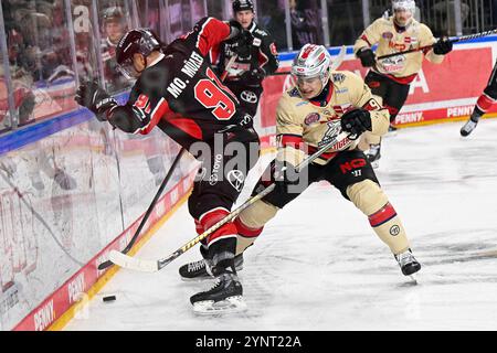 Eishockey DEL - 24/25 - 20. Spieltag: Kölner Haie vs Nürnberg Ice Tigers am 26.11.2024 in der LANXESS Arena in Köln Foto: Osnapix Stockfoto