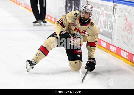 Eishockey DEL - 24/25 - 20. Spieltag: Kölner Haie vs Nürnberg Ice Tigers am 26.11.2024 in der LANXESS Arena in Köln Foto: Osnapix Stockfoto