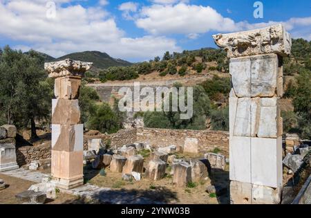 Nysa Ancient City in Sultanhisar, Türkei. Nysa am Maeander im antiken Lydia war zunächst eine griechische und später eine römische Stadt. Stockfoto