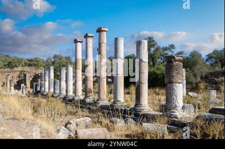 Nysa Ancient City in Sultanhisar, Türkei. Nysa am Maeander im antiken Lydia war zunächst eine griechische und später eine römische Stadt. Stockfoto