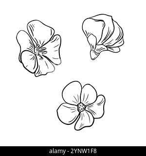 Flachsblumen Set schwarz weiß Vektor Illustration isoliert. Linum usitatissimum Kräuterpflanzen handgezeichnete grafische Skizze. Blütenköpfe in Line-Art für Stock Vektor