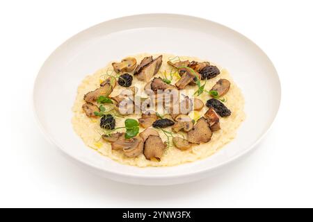 Stachelpilz-Risotto auf einer weißen Porzellanplatte, Risotto Ai funghi Stachelpilz Stockfoto