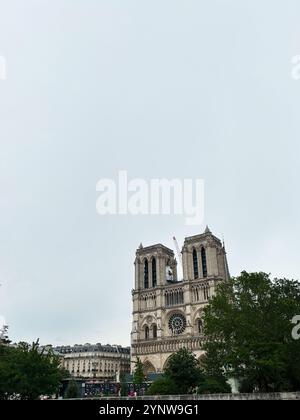 Eine atemberaubende Aufnahme der Kathedrale Notre-Dame in Paris, die ihre berühmte gotische Architektur vor einem Hintergrund von bewölktem Himmel und üppigem Grün zeigt. Stockfoto