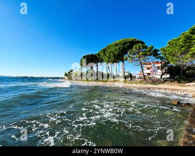 Eine ruhige Küstenlandschaft mit sanften Wellen entlang einer von Bäumen gesäumten Küste an einem hellen, sonnigen Tag. Perfekt für Entspannung und Urlaubskonzepte. Stockfoto