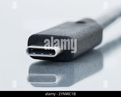 Makroaufnahme des Steckverbinders Typ C, isoliert auf weißem Hintergrund mit Reflexion. Stockfoto
