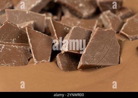Schokoladenstücke in geschmolzener Milchschokolade. Stockfoto