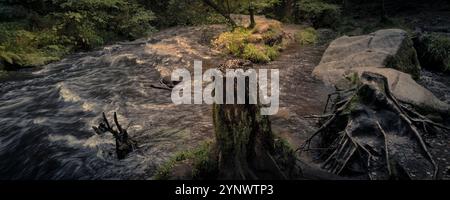 Golitha Falls. Ein Panoramablick auf den Fluss Fowey, der durch den alten Wald von Draynes Wood auf Bodmin Moor in Cornwall in Großbritannien fließt. Stockfoto