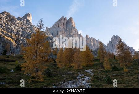 Herbstfarben in einer alpinen Landschaft in den Dolomiten, blauer Himmel darüber Stockfoto
