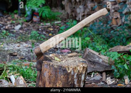 Die Axt klebt auf Holzholz. Brennholz für den Winter für den Kamin ernten. Stockfoto
