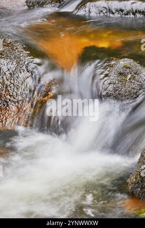 Wasser fließt um und über einen Felsen, im River Dart, in Dartmeet, Dartmoor National Park, Devon, Großbritannien. Stockfoto