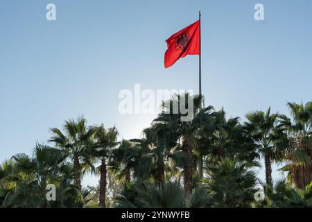 Rote albanische Flagge mit doppelköpfigem schwarzen Adler flattert im Wind auf blauem Himmel Hintergrund, rote und schwarze schöne albanische Flagge mit Palmen. T Stockfoto