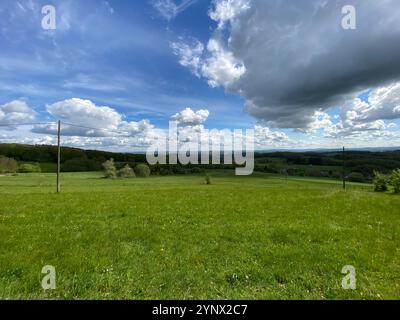 Blick auf eine Wiese bei hellem Sonnenschein mit einem Wald bei Werkhausen im Frühjahr 2021 Stockfoto