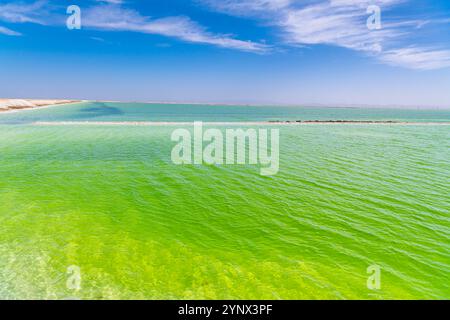 Mineralbergbau in China. Ein Rand von Kristallsalzen umgibt den Qarhan-See, den größten Salzsee playa in China und eine bedeutende Salzquelle Stockfoto