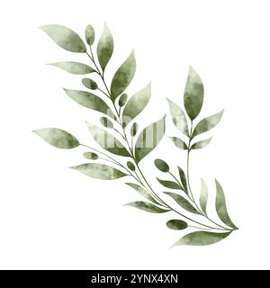 Aquarellabbildung eines grünen Zierzweigs. Die Abbildung ist handgezeichnet in Aquarell. Design für Textilien, Papier und Verpackungen Stockfoto