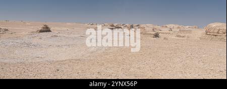 Eboliang Yardang Landform im Qaidam Becken in der Provinz Qinghai, Panorama Stockfoto