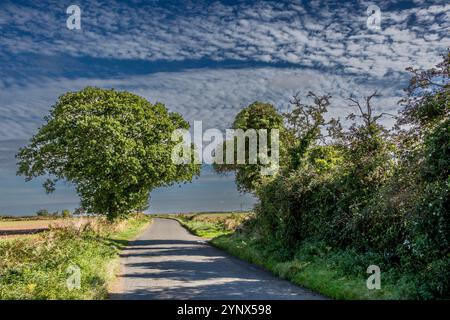 Der Alte Beetley Norfolk Stockfoto