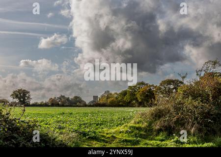 Der Alte Beetley Norfolk Stockfoto