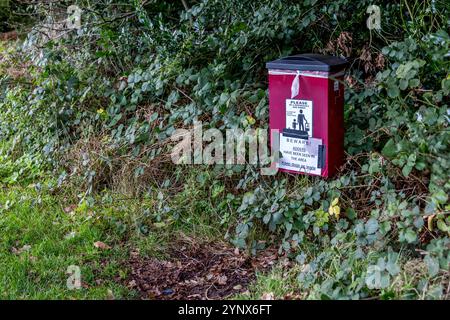 Beetly Woods Norfolk Stockfoto