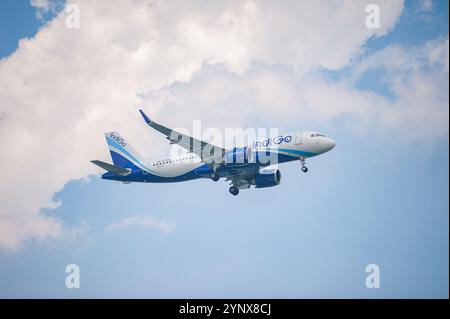 21.10.2024, Singapur, Republik Singapur, Asien - ein Passagierjet von Indigo Airlines Airbus A320 Neo nähert sich dem Flughafen Changi an. Stockfoto