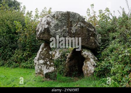 Der Hanging Stone Urzeitlichen megalithischen neolithischen Grabkammer Dolmen in der Nähe von Sardis, Pembrokeshire, Wales. Capstone unterstützt von 3 Orthostaten Stockfoto