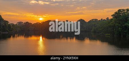 Sonnenaufgangspanorama im Amazonas-Regenwald mit Ländern wie Brasilien, Bolivien, Kolumbien, Ecuador, Französisch-Guayana, Peru, Suriname und Venezuela. Stockfoto