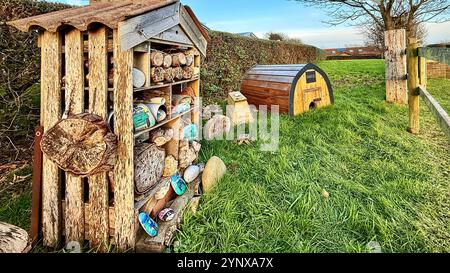 Mini-Biest-Hotel im Herbst Stockfoto