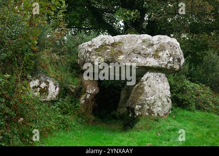 Der Hanging Stone Urzeitlichen megalithischen neolithischen Grabkammer Dolmen in der Nähe von Sardis, Pembrokeshire, Wales. Capstone unterstützt von 3 Orthostaten Stockfoto