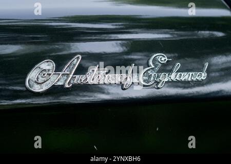 YPERN, BELGIEN – 25. MAI 2014: Verchromter Text des Austin-Logos auf dem Oldtimer A40 Devon Stockfoto