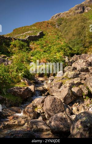 Großbritannien, England, Cumbria, Langdale, Dungeon Ghyll Force im Sommer Stockfoto