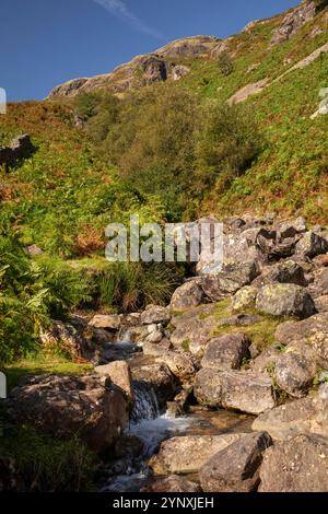 Großbritannien, England, Cumbria, Langdale, Dungeon Ghyll Force im Sommer Stockfoto