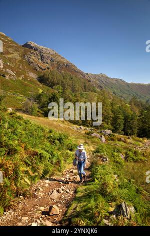 Großbritannien, England, Cumbria, Langdale, Stickle Ghyll, leitende weibliche Walkerin auf dem Weg zum Dungeon Ghyll Force Stockfoto