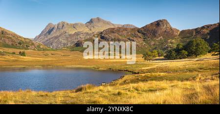 Großbritannien, England, Cumbria, Langdale, Blea Tarn unterhalb von Side Pike und Langdale Pikes, Panorama Stockfoto