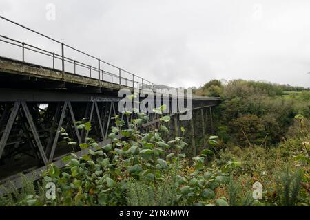 Meldon Viaduct, einer von nur zwei noch erhaltenen schmiedeeisernen Viadukten im Vereinigten Königreich Stockfoto