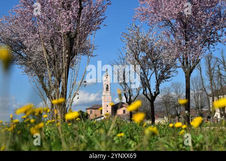 Kirche San Giuliano Nuovo durch eine Wildblumenwiese mit Bäumen, Alessandria, Piemont, Italien Stockfoto